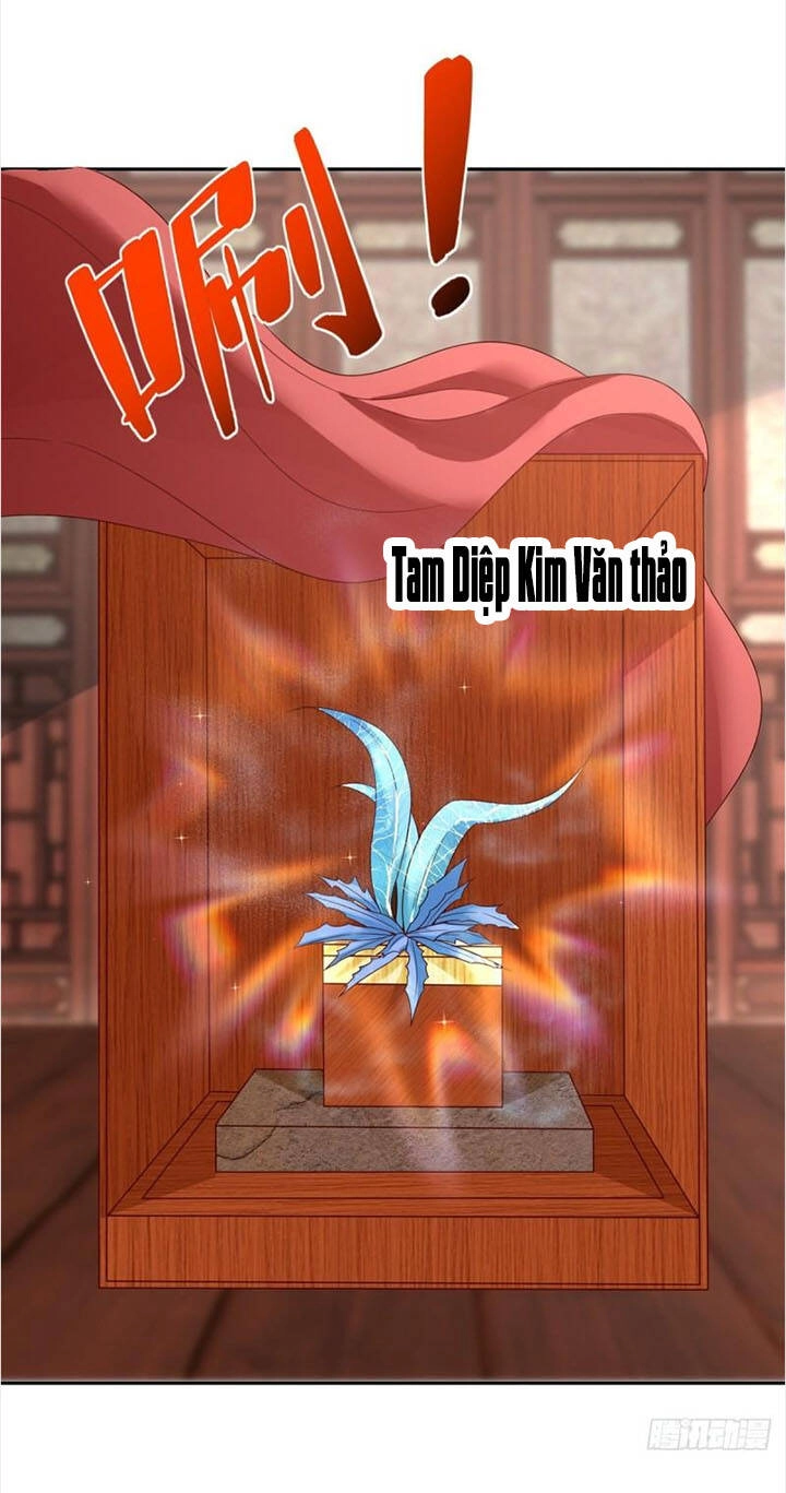 Chí Tôn Trọng Sinh Chapter 207 - 29