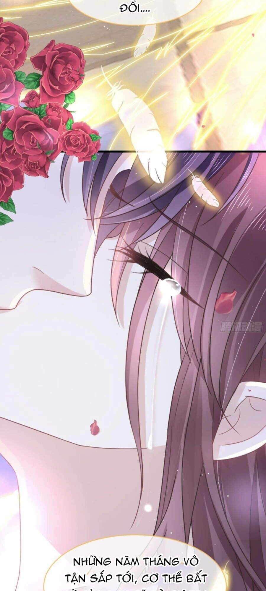 Trọng Sinh Trở Thành Món Tráng Miệng Của Tổng Tài Ma Cà Rồng Chapter 1 - 10