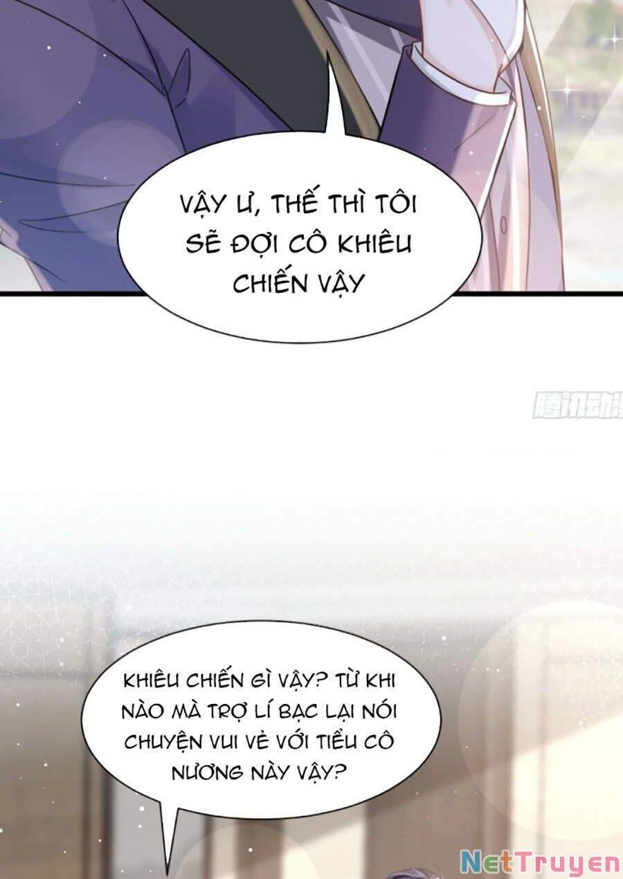 Trọng Sinh Trở Thành Món Tráng Miệng Của Tổng Tài Ma Cà Rồng Chapter 11 - 14