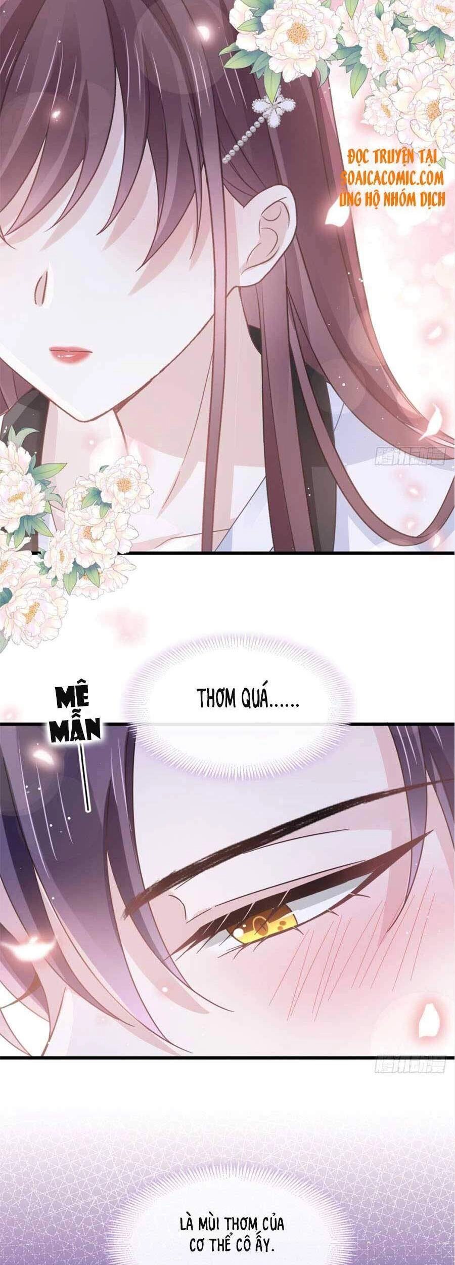 Trọng Sinh Trở Thành Món Tráng Miệng Của Tổng Tài Ma Cà Rồng Chapter 31 - 14