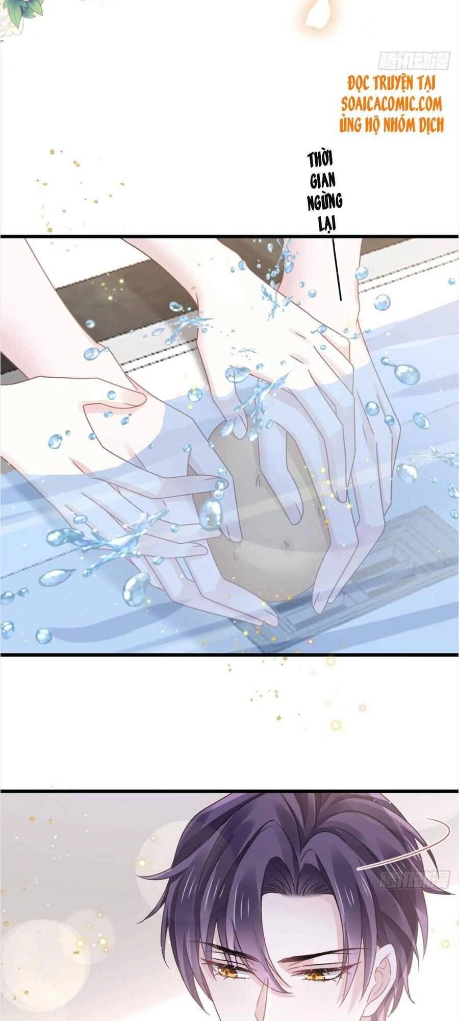 Trọng Sinh Trở Thành Món Tráng Miệng Của Tổng Tài Ma Cà Rồng Chapter 32 - 7