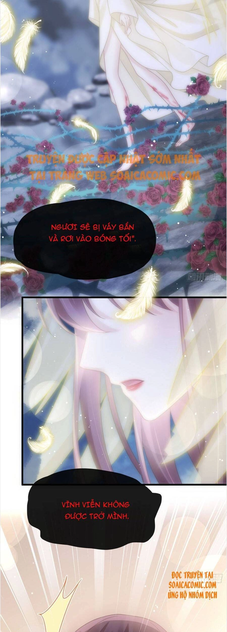 Trọng Sinh Trở Thành Món Tráng Miệng Của Tổng Tài Ma Cà Rồng Chapter 44 - 3