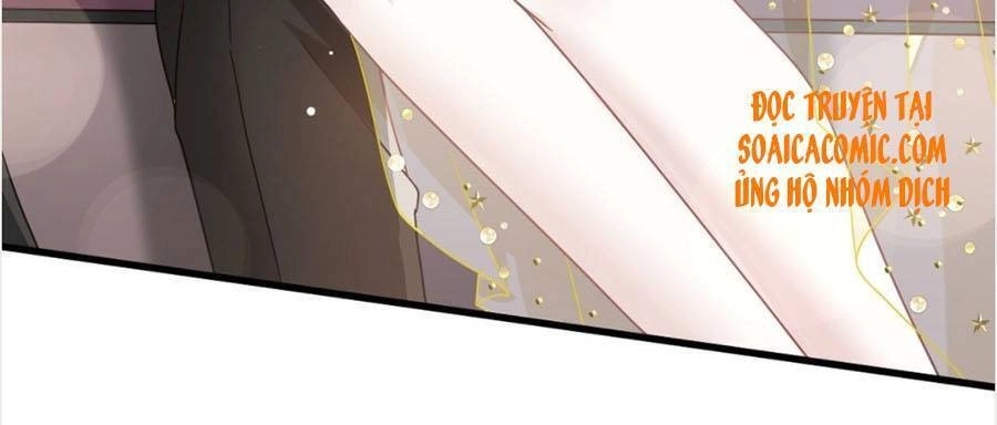 Trọng Sinh Trở Thành Món Tráng Miệng Của Tổng Tài Ma Cà Rồng Chapter 44 - 6