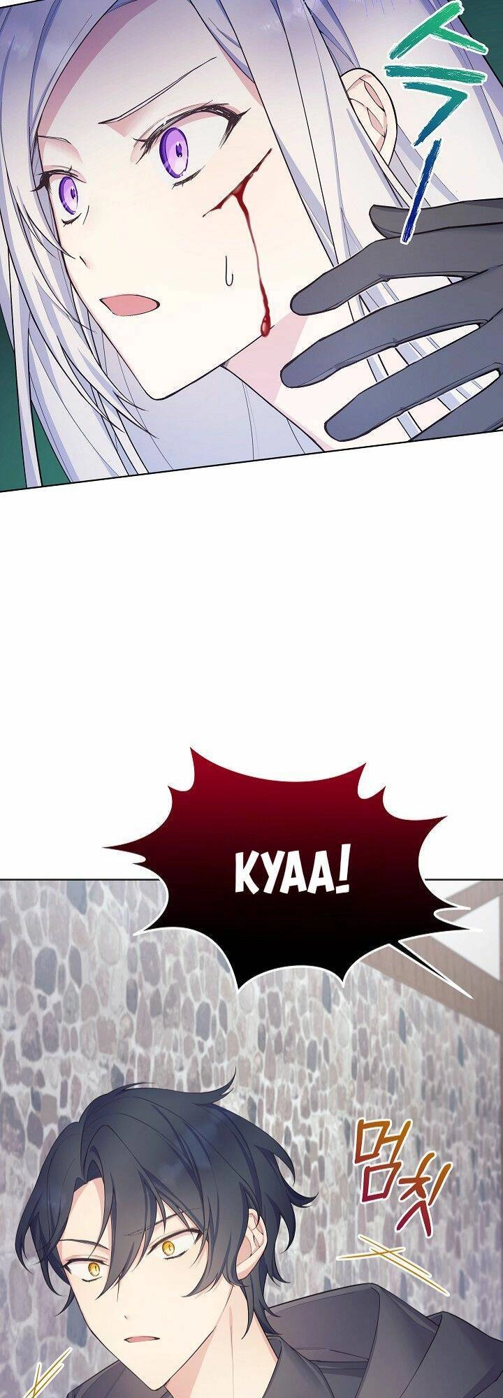 Bệ Hạ, Tôi Sẽ Giết Ngài! Chapter 4 - 43