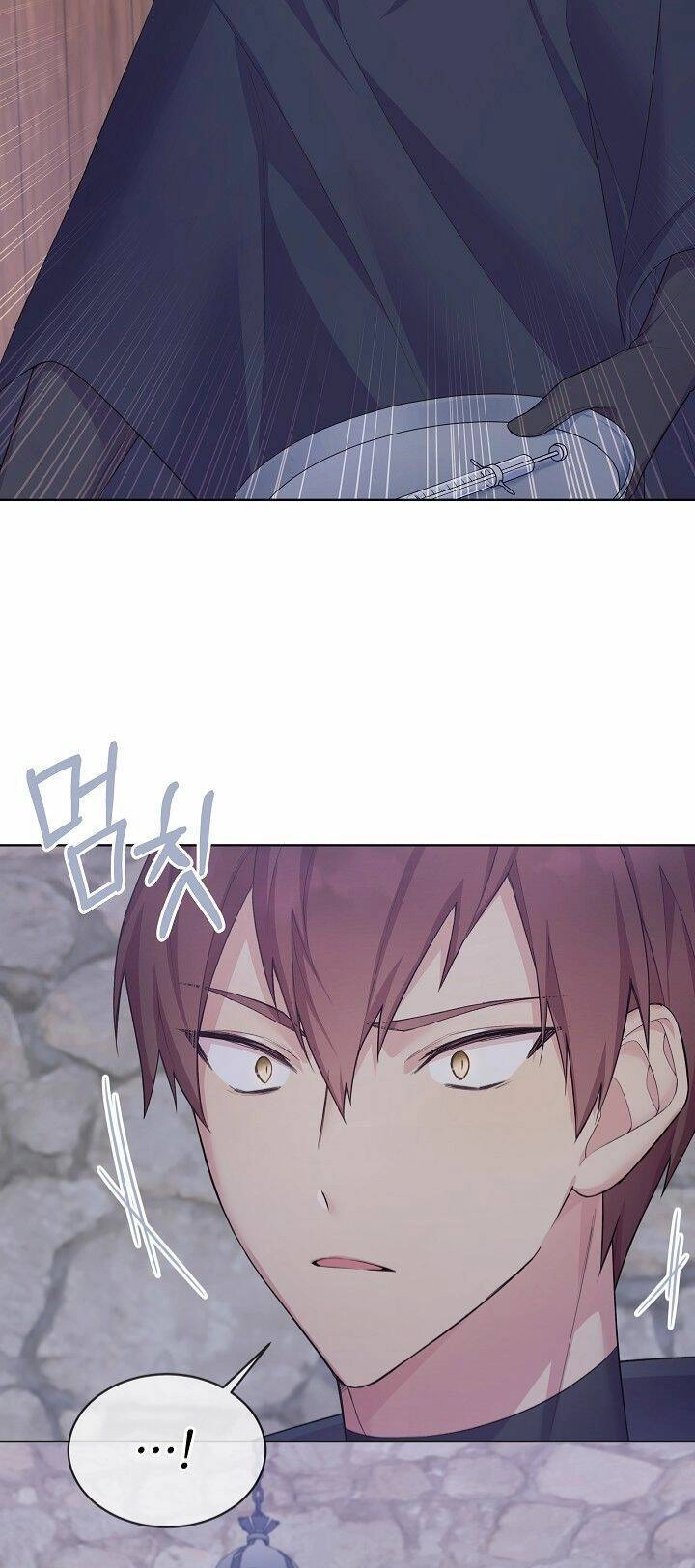 Bệ Hạ, Tôi Sẽ Giết Ngài! Chapter 6 - 6