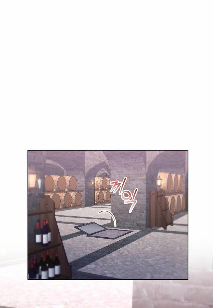 Bệ Hạ, Tôi Sẽ Giết Ngài! Chapter 11 - 28