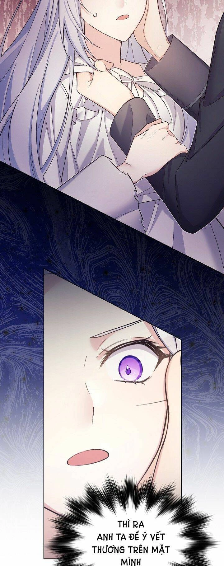 Bệ Hạ, Tôi Sẽ Giết Ngài! Chapter 15 - 29