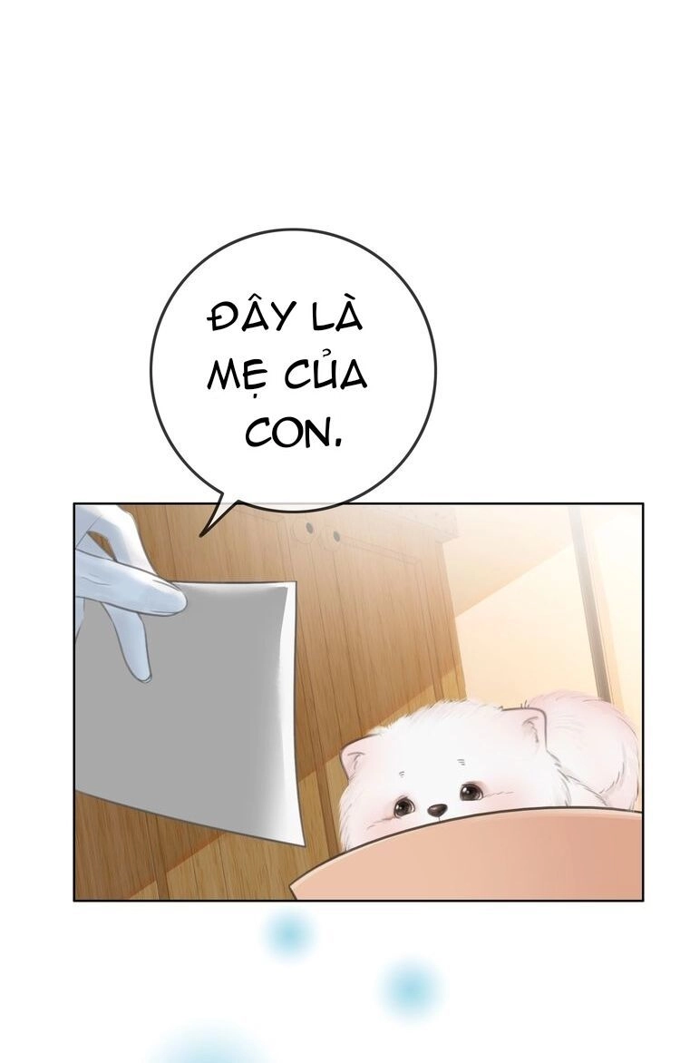 Ám Hắc Hệ Noãn Hôn Chapter 3 - 33