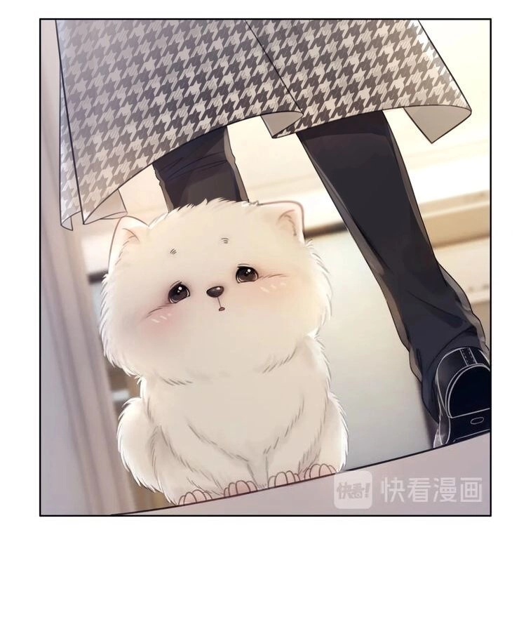 Ám Hắc Hệ Noãn Hôn Chapter 3 - 47