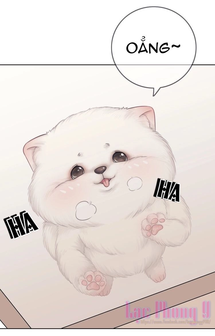 Ám Hắc Hệ Noãn Hôn Chapter 3 - 48