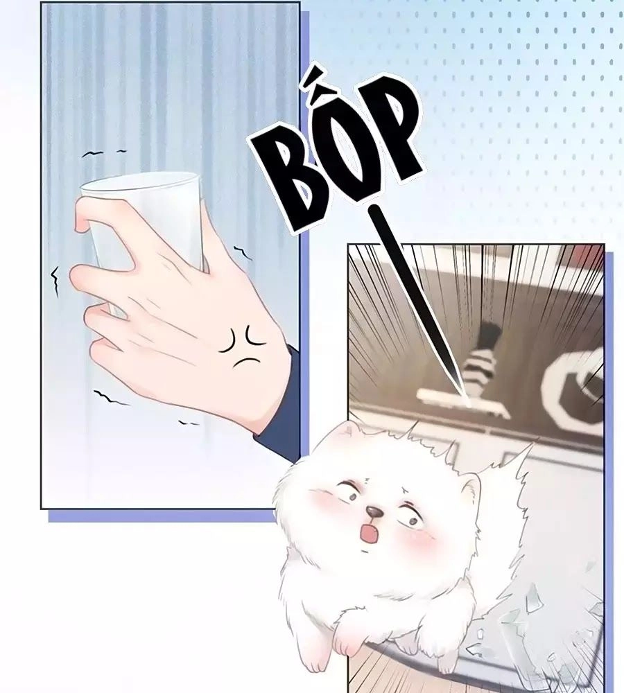 Ám Hắc Hệ Noãn Hôn Chapter 6 - 83