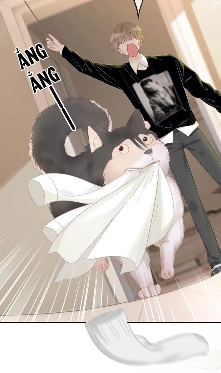 Ám Hắc Hệ Noãn Hôn Chapter 33 - 16