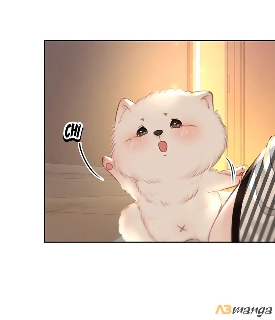 Ám Hắc Hệ Noãn Hôn Chapter 86 - 33