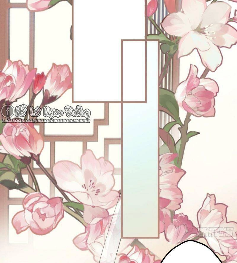 Công Chúa Pháo Hôi Muốn Tùy Tiện Đến Cùng Chapter 4 - 5