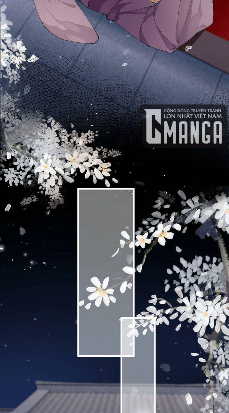 Công Chúa Pháo Hôi Muốn Tùy Tiện Đến Cùng Chapter 25 - 5