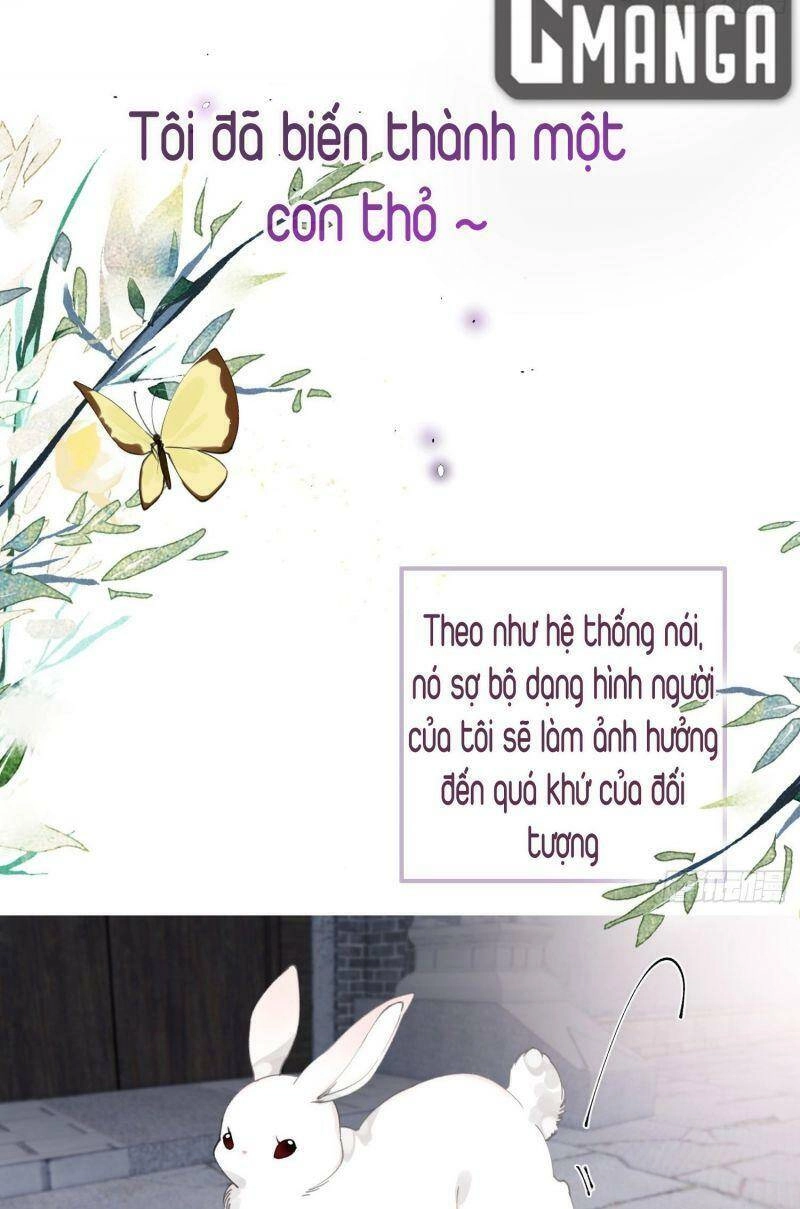 Công Chúa Pháo Hôi Muốn Tùy Tiện Đến Cùng Chapter 26 - 3