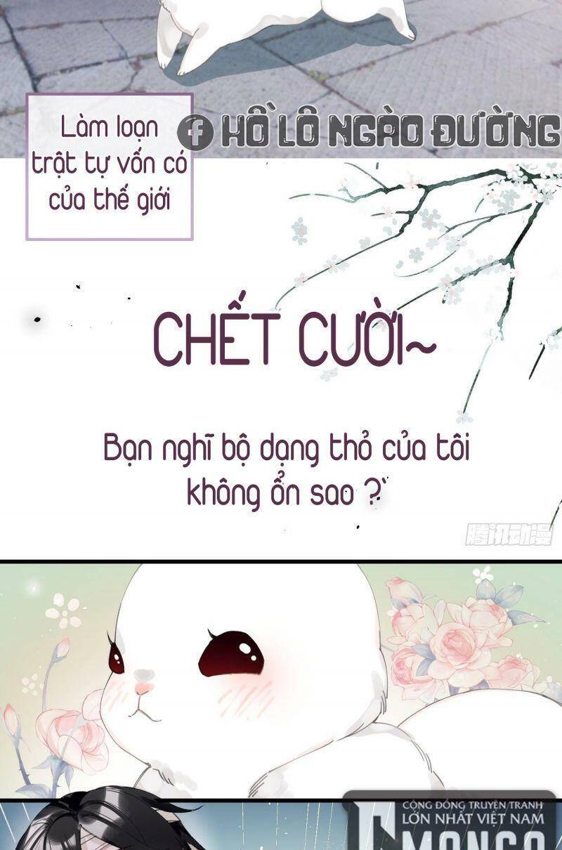 Công Chúa Pháo Hôi Muốn Tùy Tiện Đến Cùng Chapter 26 - 4