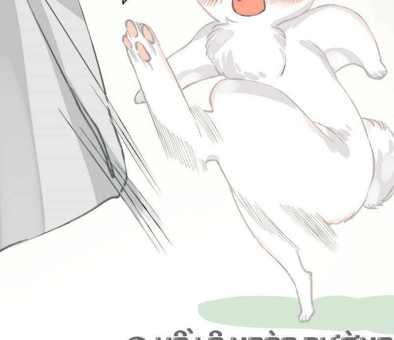 Công Chúa Pháo Hôi Muốn Tùy Tiện Đến Cùng Chapter 27 - 39