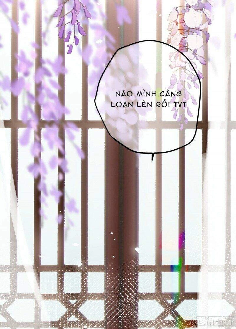 Công Chúa Pháo Hôi Muốn Tùy Tiện Đến Cùng Chapter 29 - 7