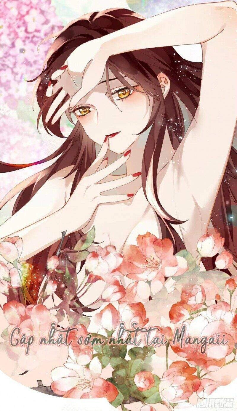 Công Chúa Pháo Hôi Muốn Tùy Tiện Đến Cùng Chapter 33 - 23