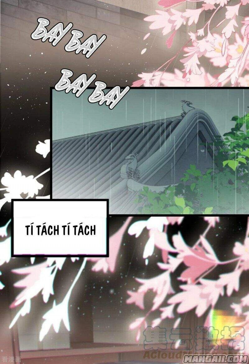 Công Chúa Pháo Hôi Muốn Tùy Tiện Đến Cùng Chapter 60 - 7