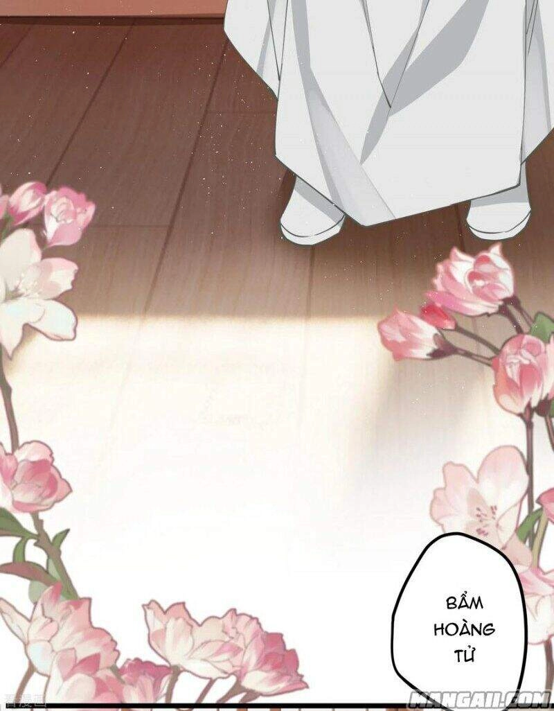 Công Chúa Pháo Hôi Muốn Tùy Tiện Đến Cùng Chapter 61 - 14