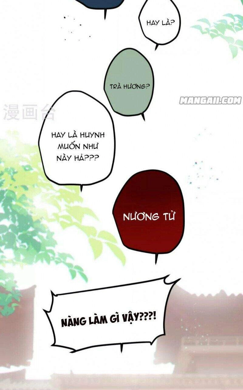 Công Chúa Pháo Hôi Muốn Tùy Tiện Đến Cùng Chapter 67 - 5