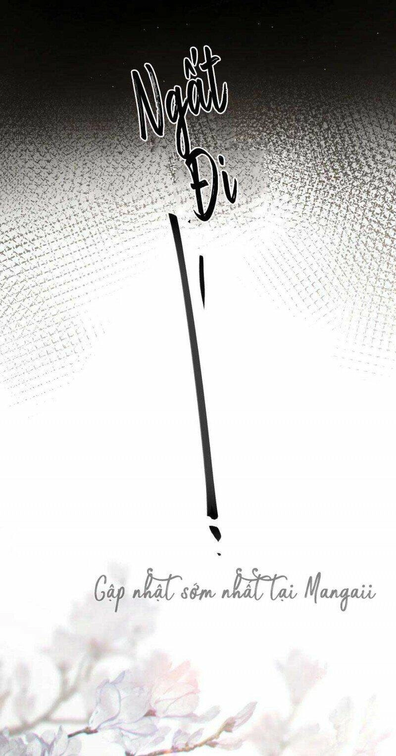 Công Chúa Pháo Hôi Muốn Tùy Tiện Đến Cùng Chapter 75 - 5