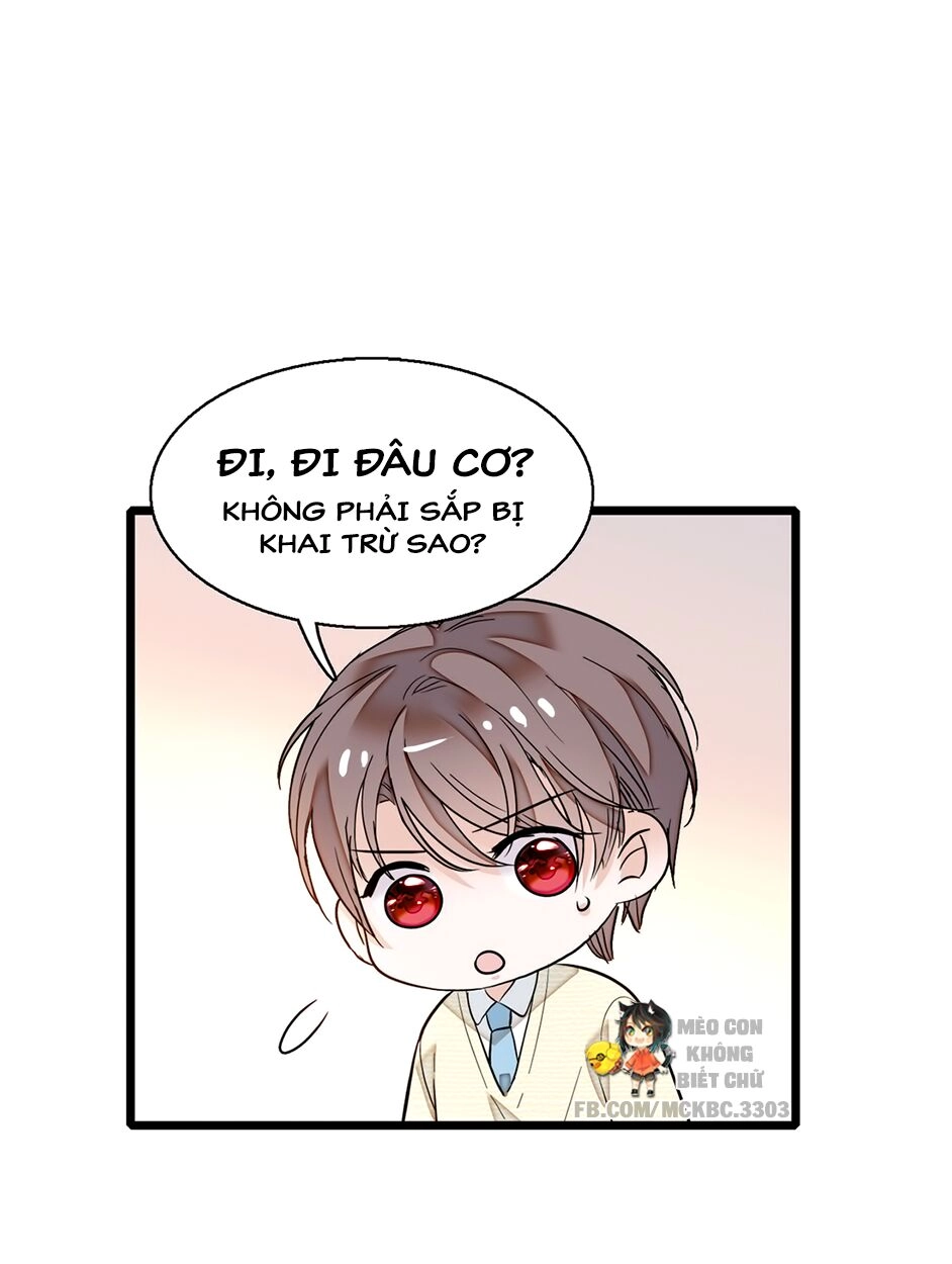 Long Phượng Phiên Chuyển Chapter 7 - 40