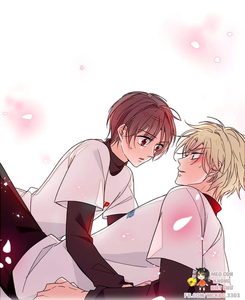 Long Phượng Phiên Chuyển Chapter 11 - 51