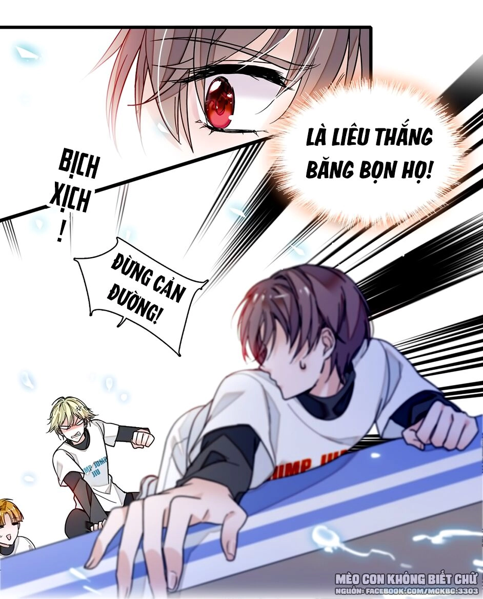 Long Phượng Phiên Chuyển Chapter 12 - 22