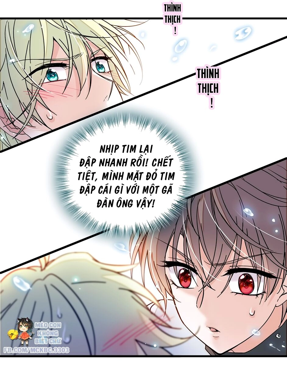 Long Phượng Phiên Chuyển Chapter 12 - 25