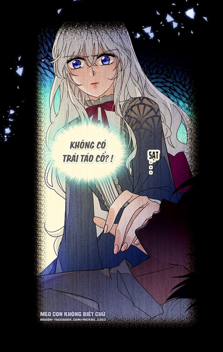 Long Phượng Phiên Chuyển Chapter 15 - 11