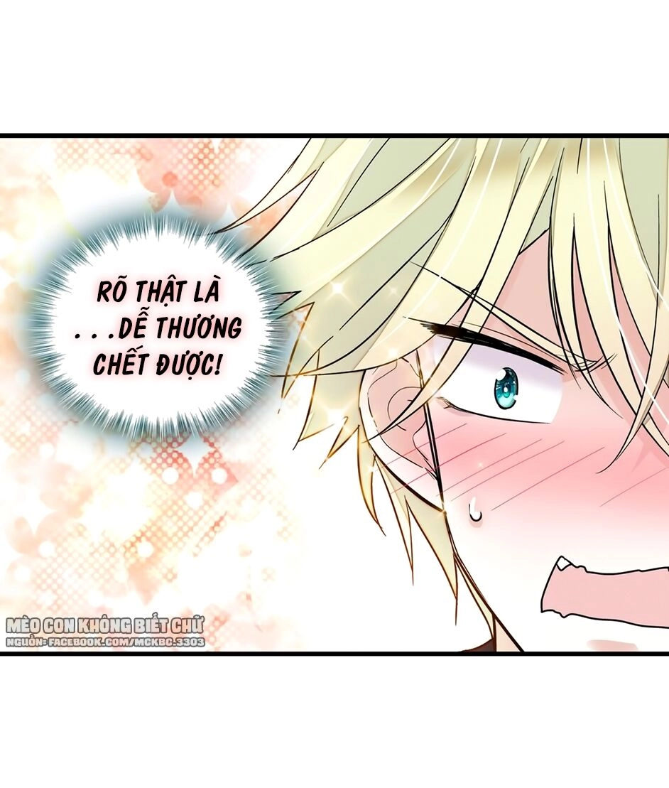 Long Phượng Phiên Chuyển Chapter 15 - 28