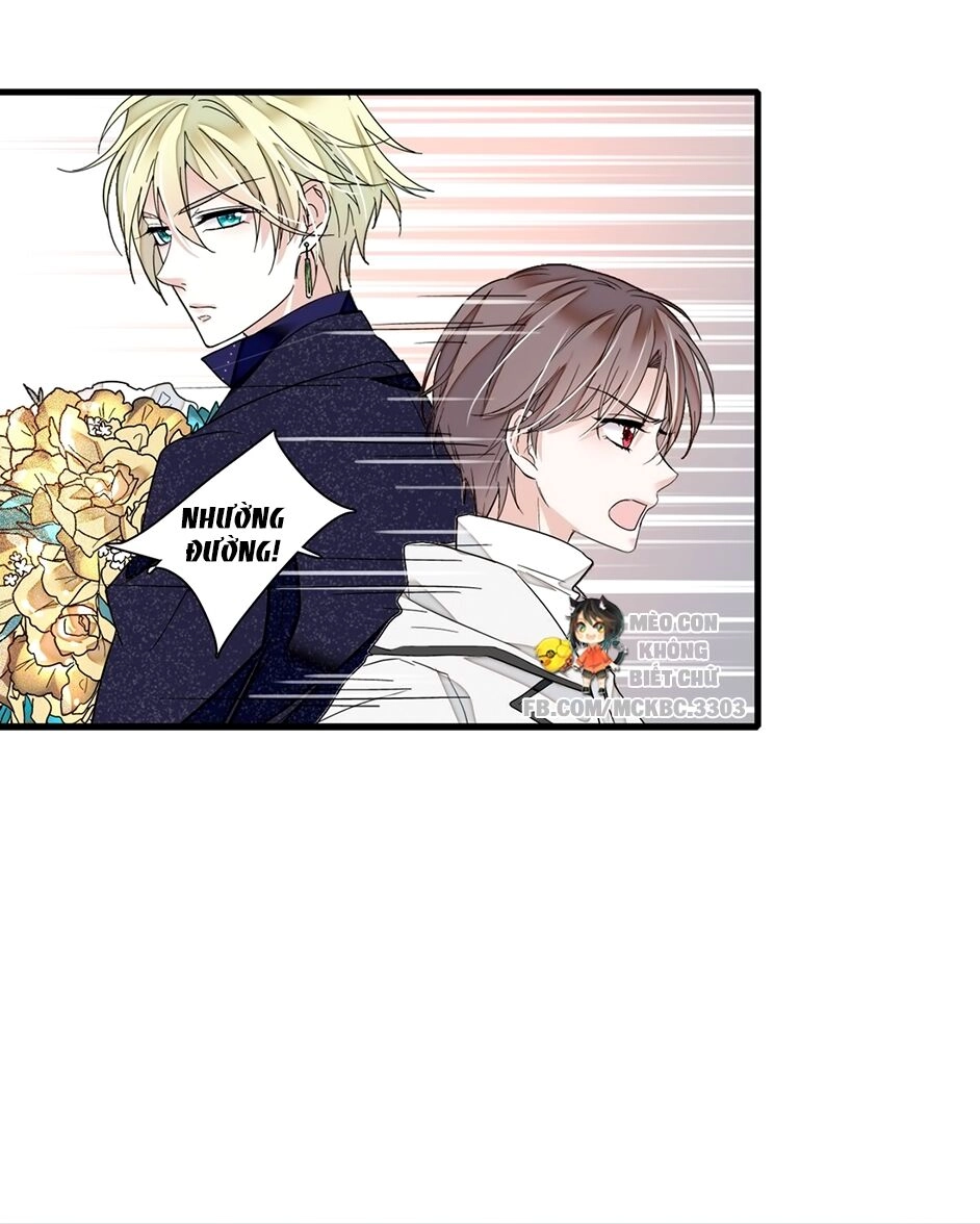 Long Phượng Phiên Chuyển Chapter 20 - 49