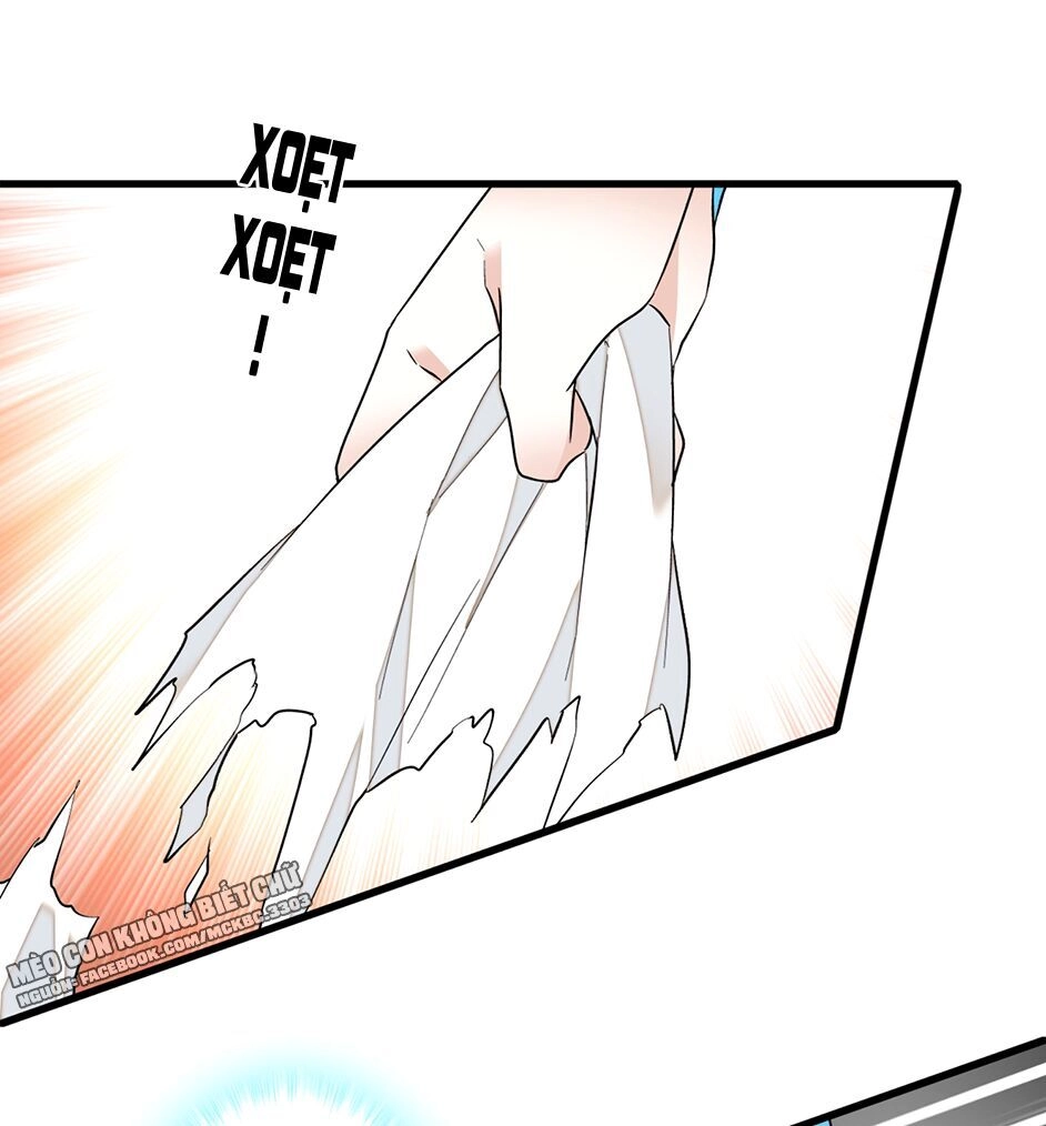 Long Phượng Phiên Chuyển Chapter 26 - 50