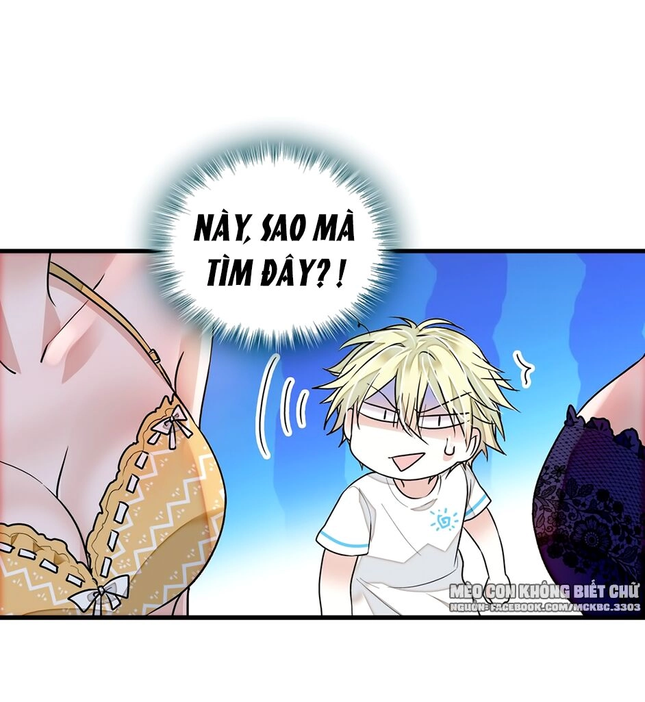 Long Phượng Phiên Chuyển Chapter 27 - 48