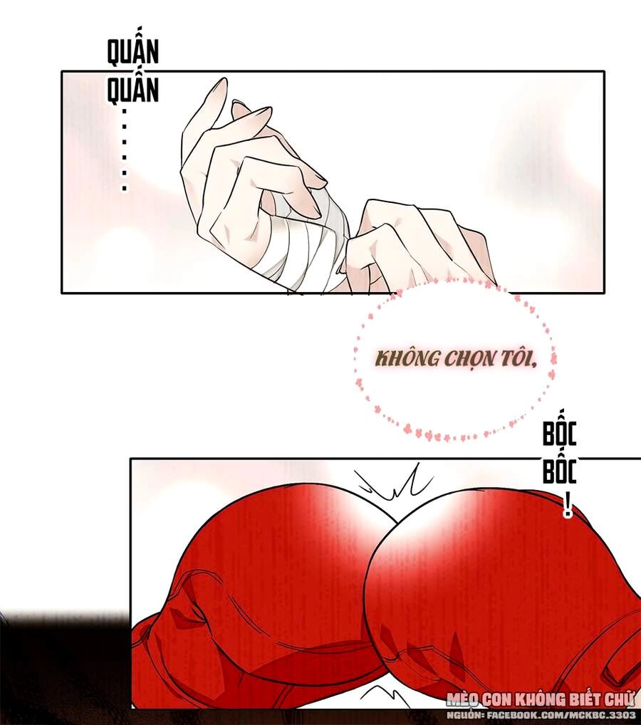 Long Phượng Phiên Chuyển Chapter 49 - 22