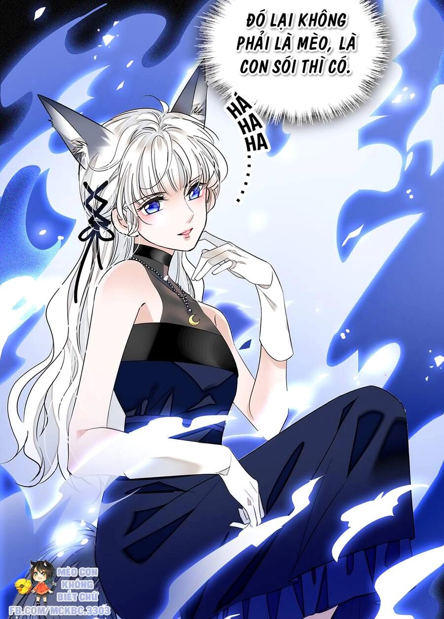 Long Phượng Phiên Chuyển Chapter 51 - 21