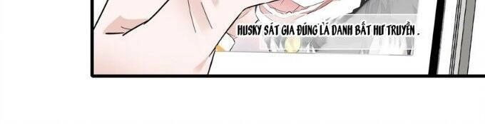 Long Phượng Phiên Chuyển Chapter 64 - 24