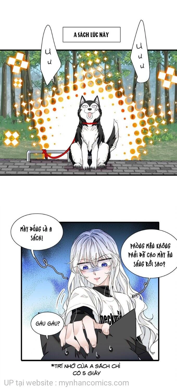 Long Phượng Phiên Chuyển Chapter 66 - 5