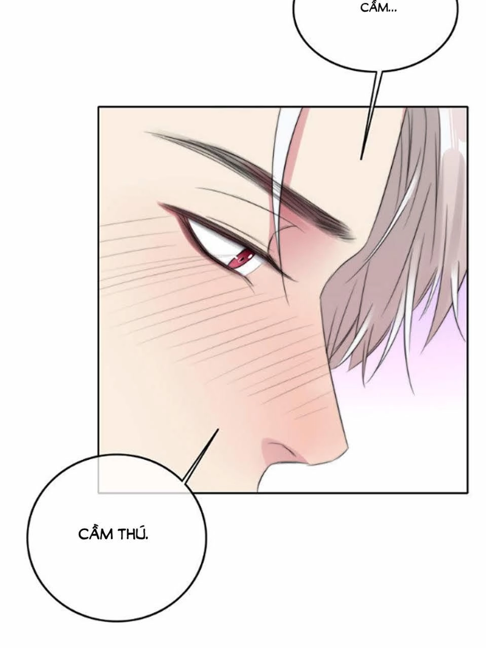 Fan Biến Thái Và Thần Tượng Xinh Đẹp Chapter 49 - 20