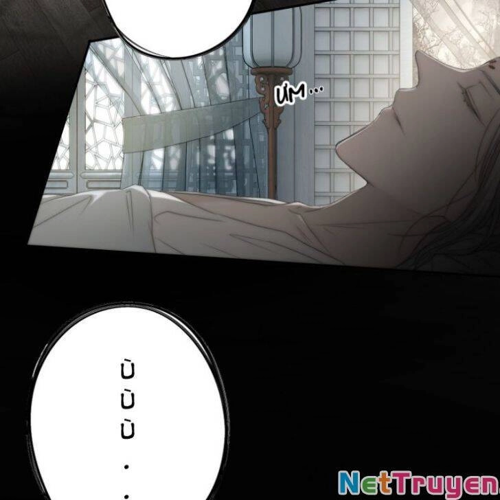 Nguyệt Trụy Trọng Minh Chapter 19 - 5