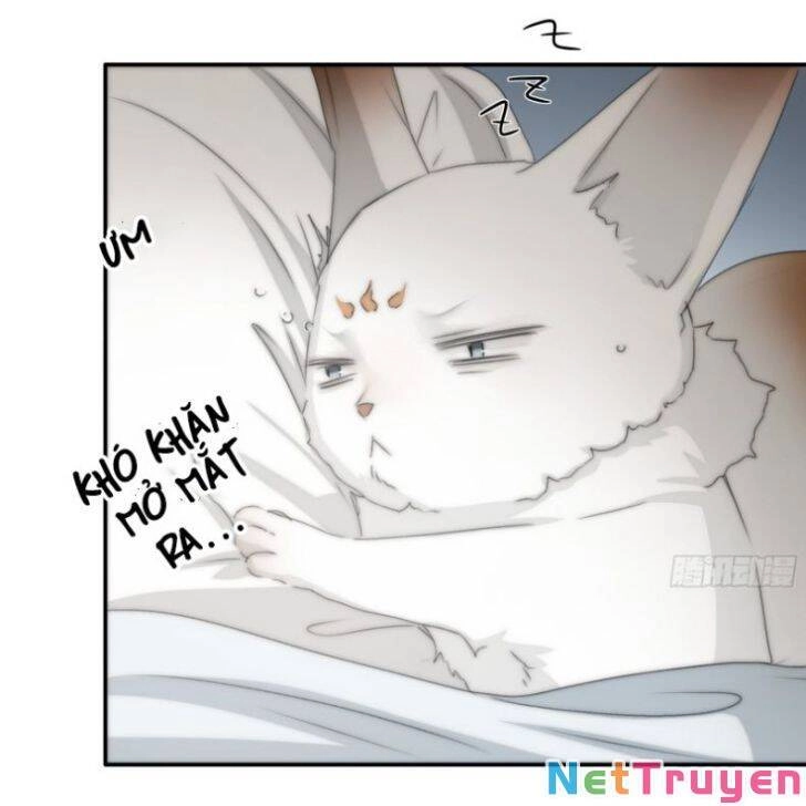 Nguyệt Trụy Trọng Minh Chapter 19 - 42