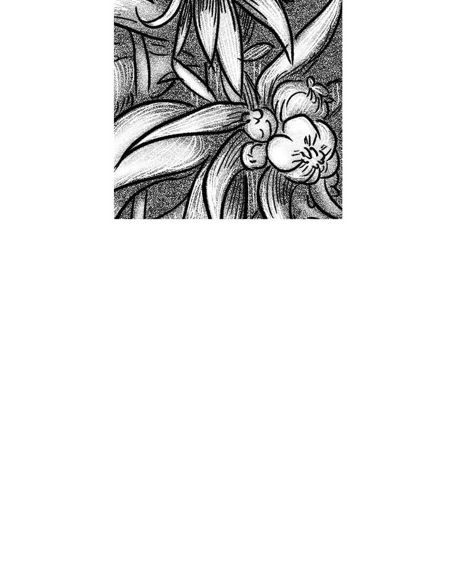 Nocturne Chapter 18 - 3