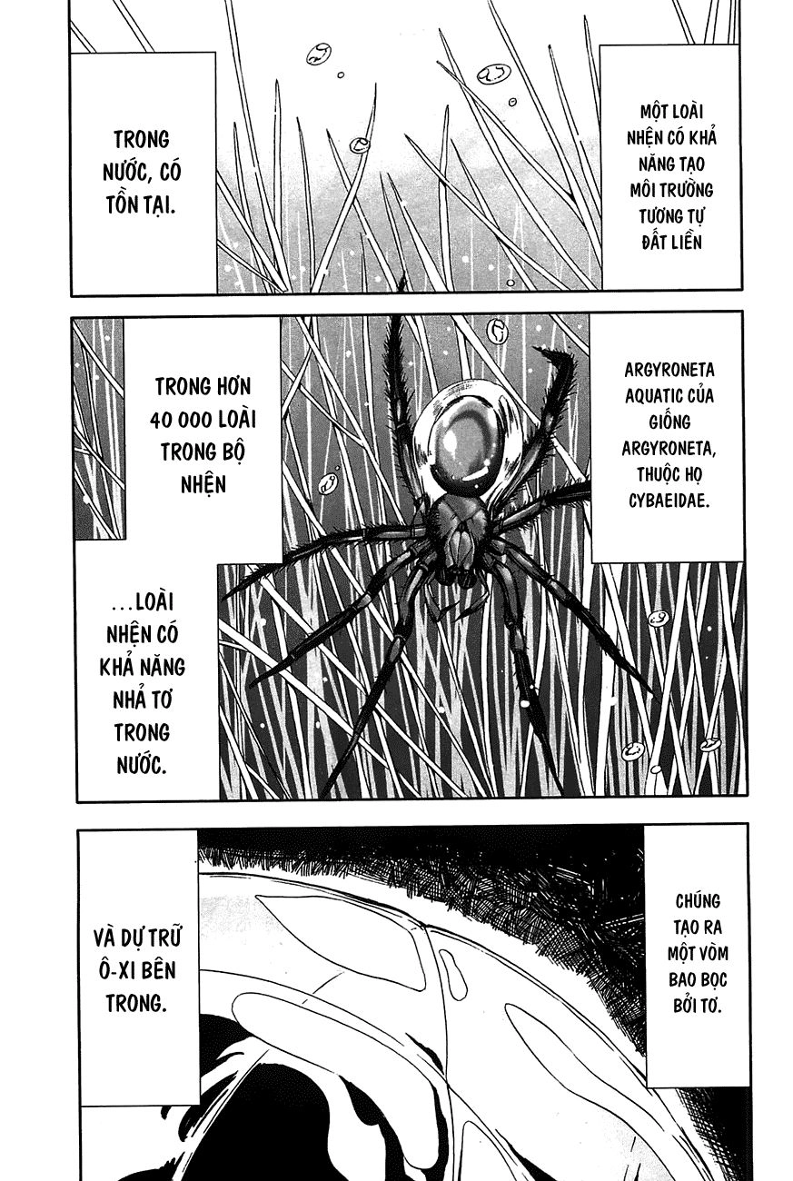 Arachnid Chapter 20 - 13