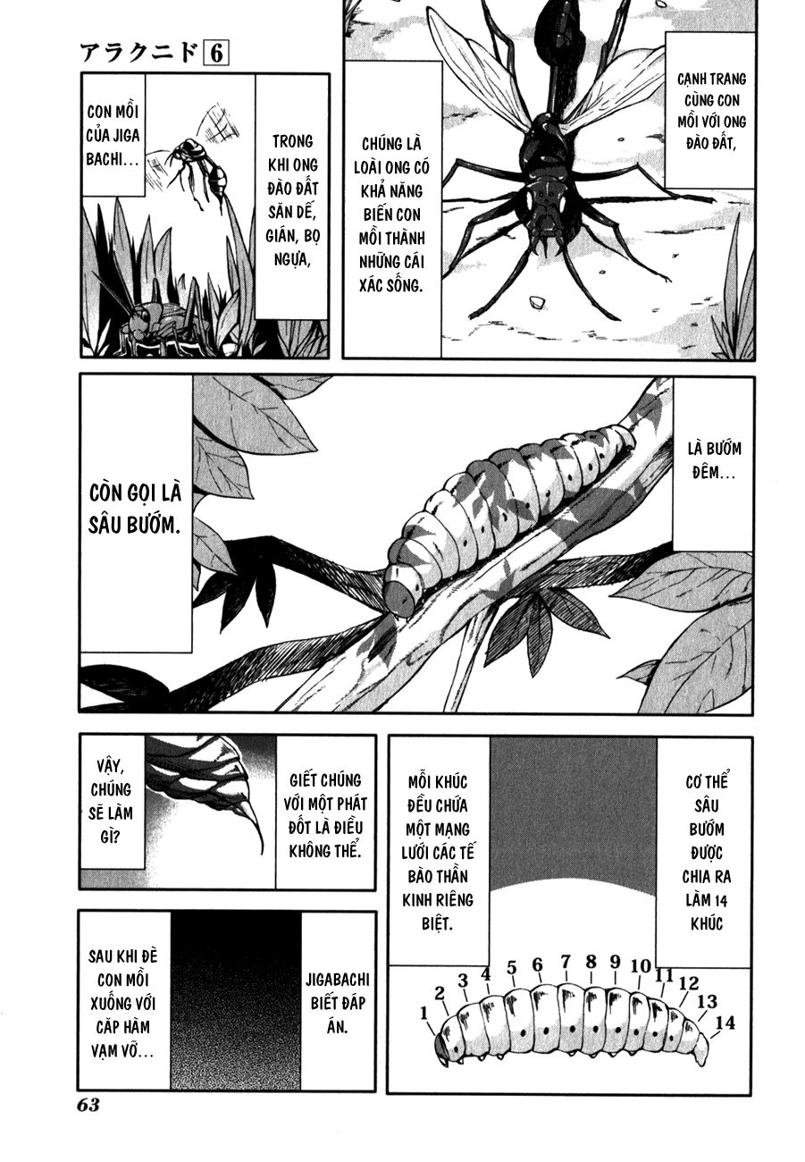Arachnid Chapter 28 - 5