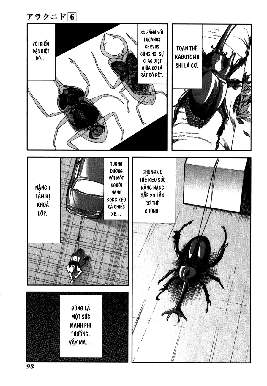 Arachnid Chapter 28 - 34