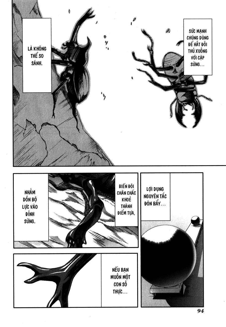 Arachnid Chapter 28 - 35
