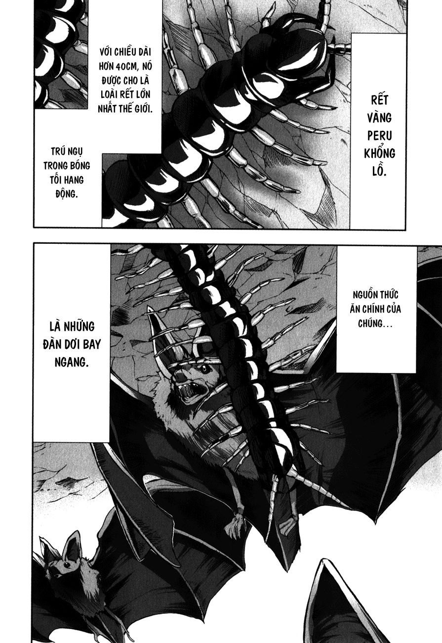 Arachnid Chapter 29 - 8